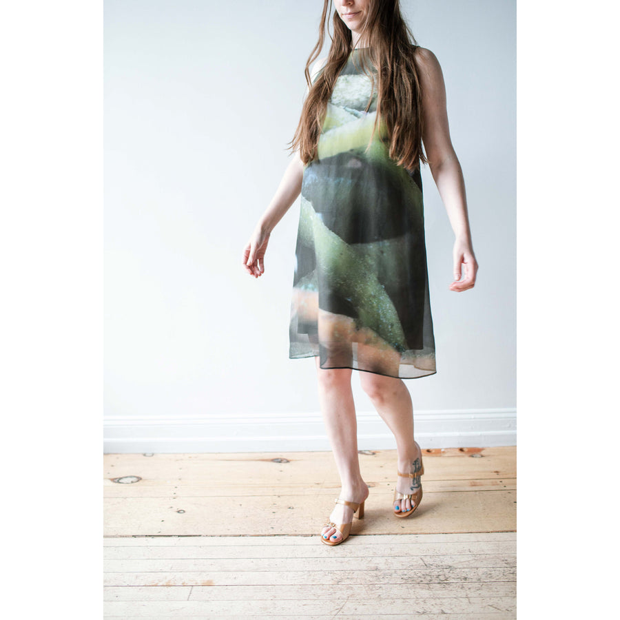 Kaarem Moon Silk Organza Dress in Roots